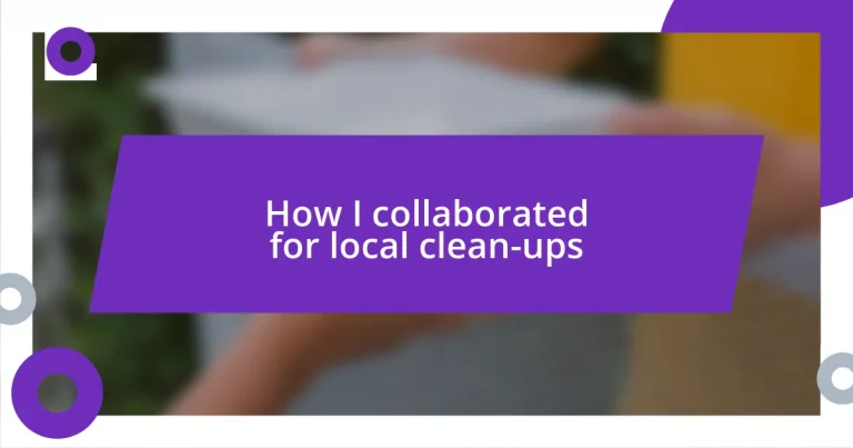 How I collaborated for local clean-ups