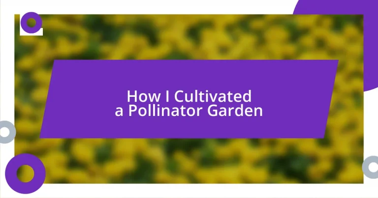 How I Cultivated a Pollinator Garden