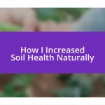 How I Increased Soil Health Naturally