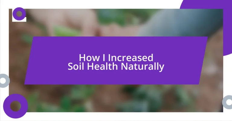 How I Increased Soil Health Naturally