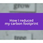 How I reduced my carbon footprint