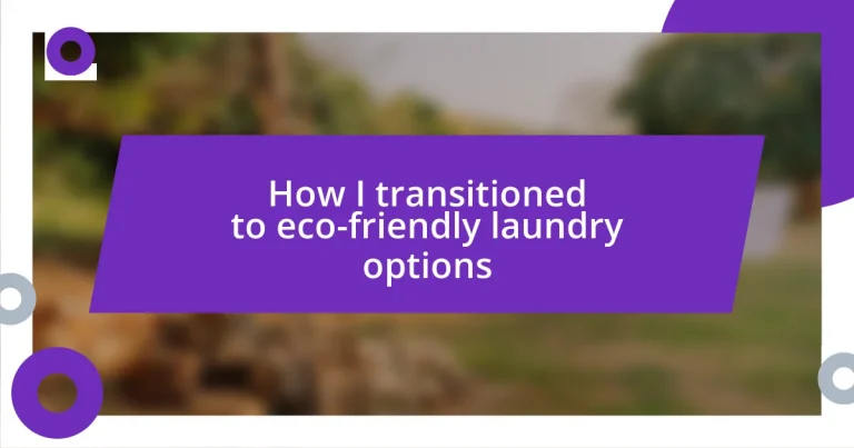 How I transitioned to eco-friendly laundry options