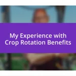 My Experience with Crop Rotation Benefits