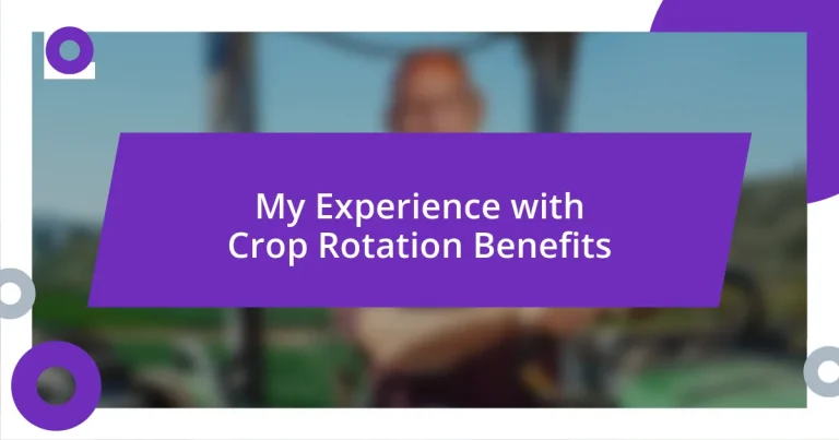 My Experience with Crop Rotation Benefits