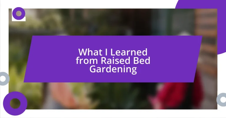 What I Learned from Raised Bed Gardening